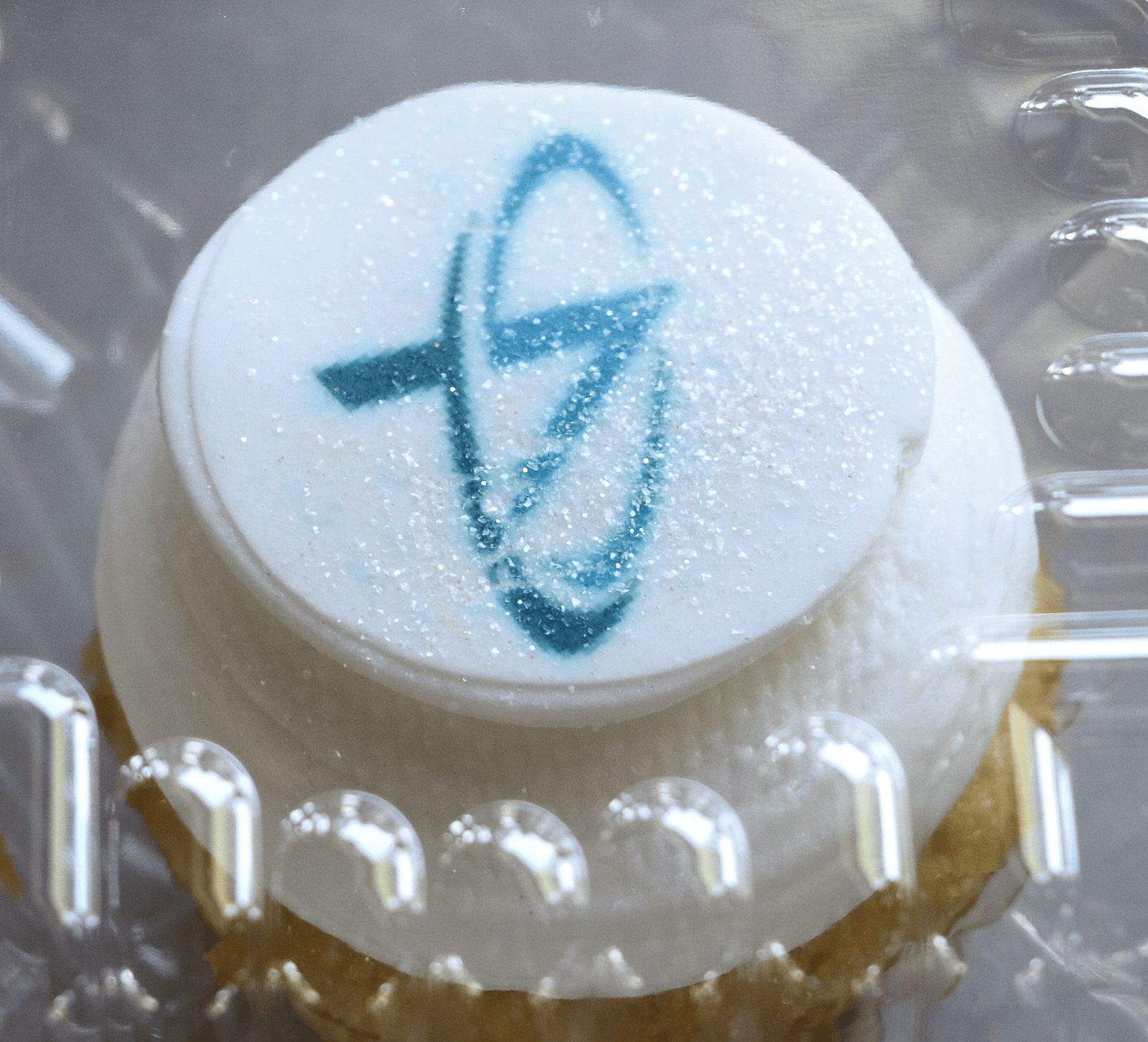 Summer Picnic image 10