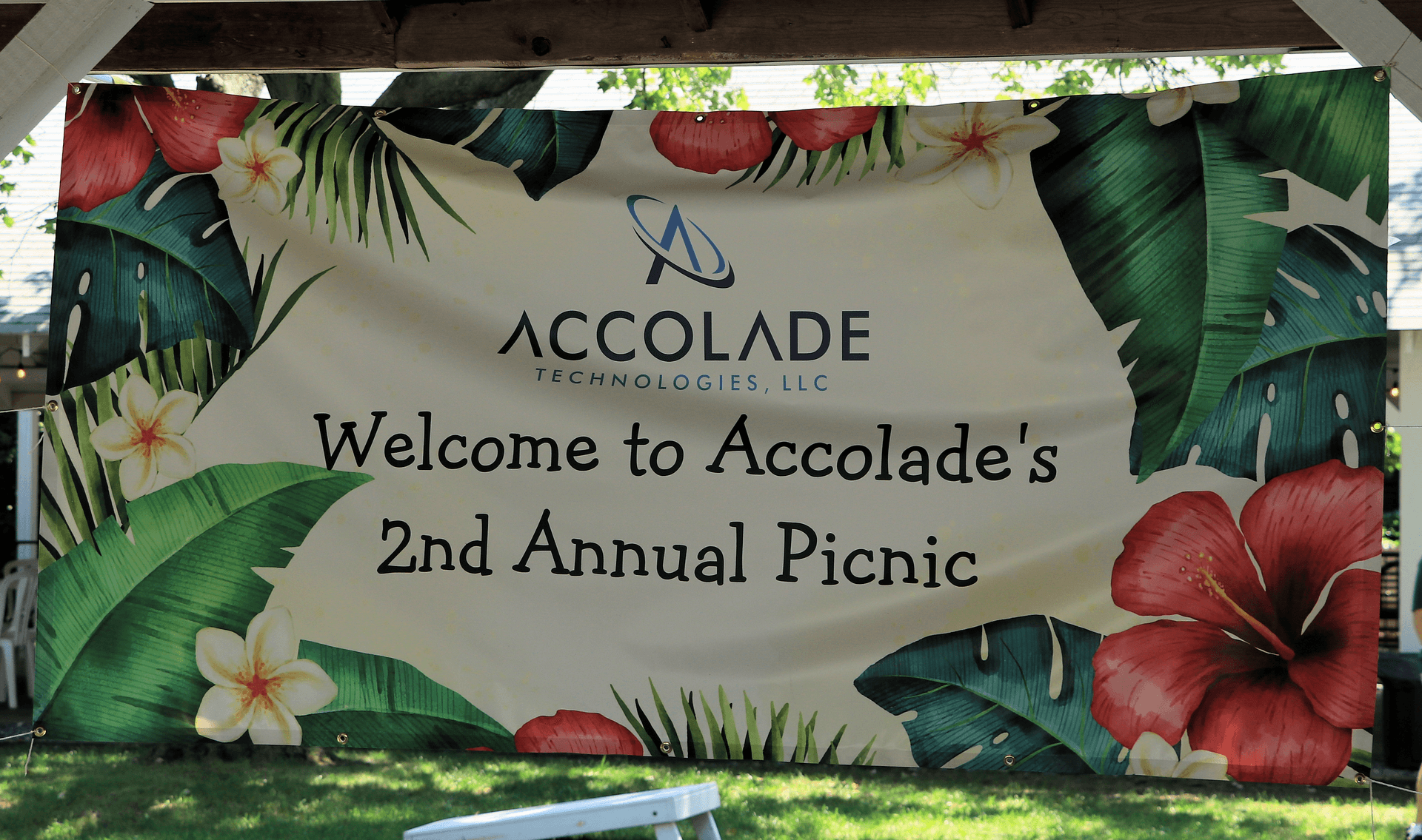 Summer Picnic image 11