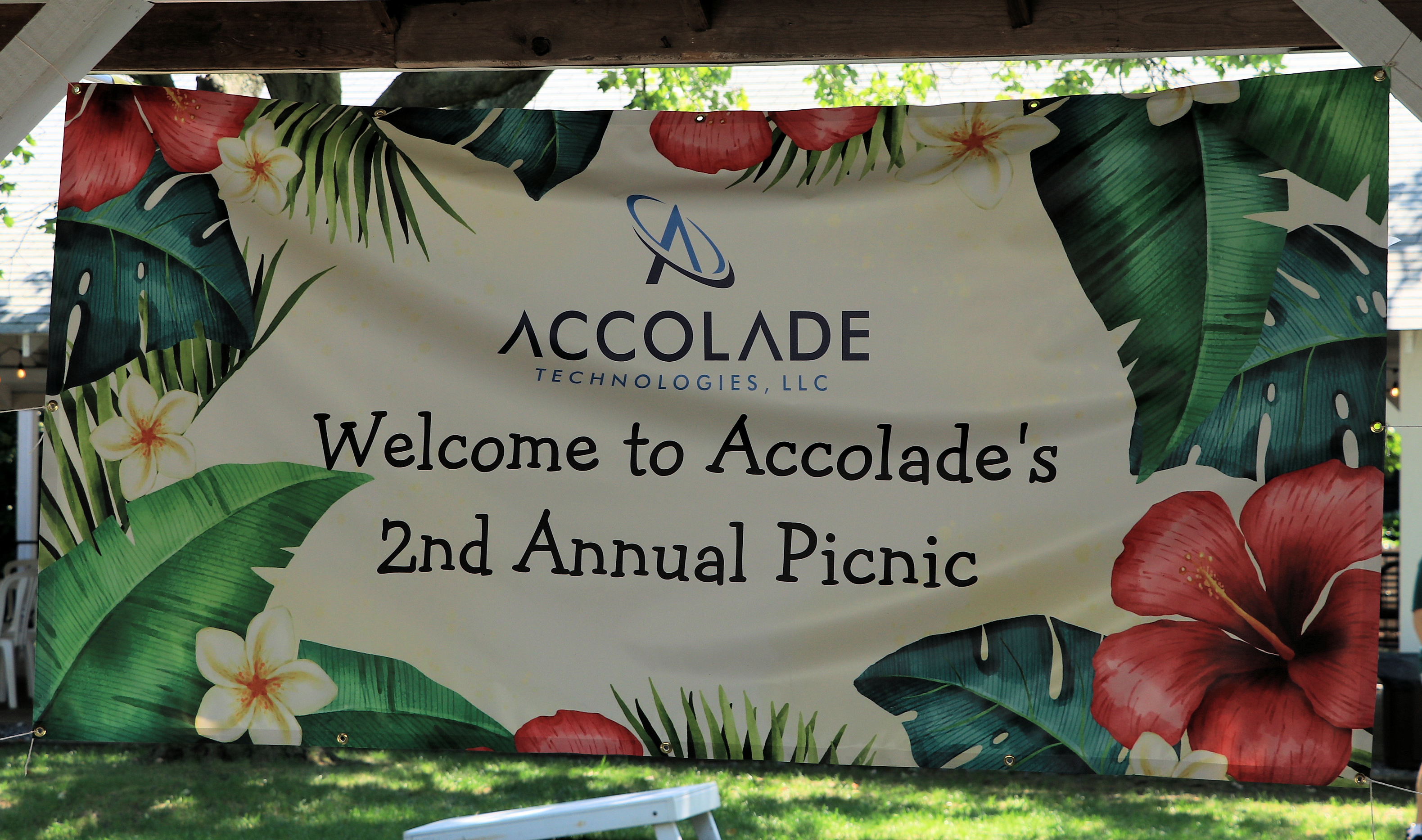 Summer Picnic image 11