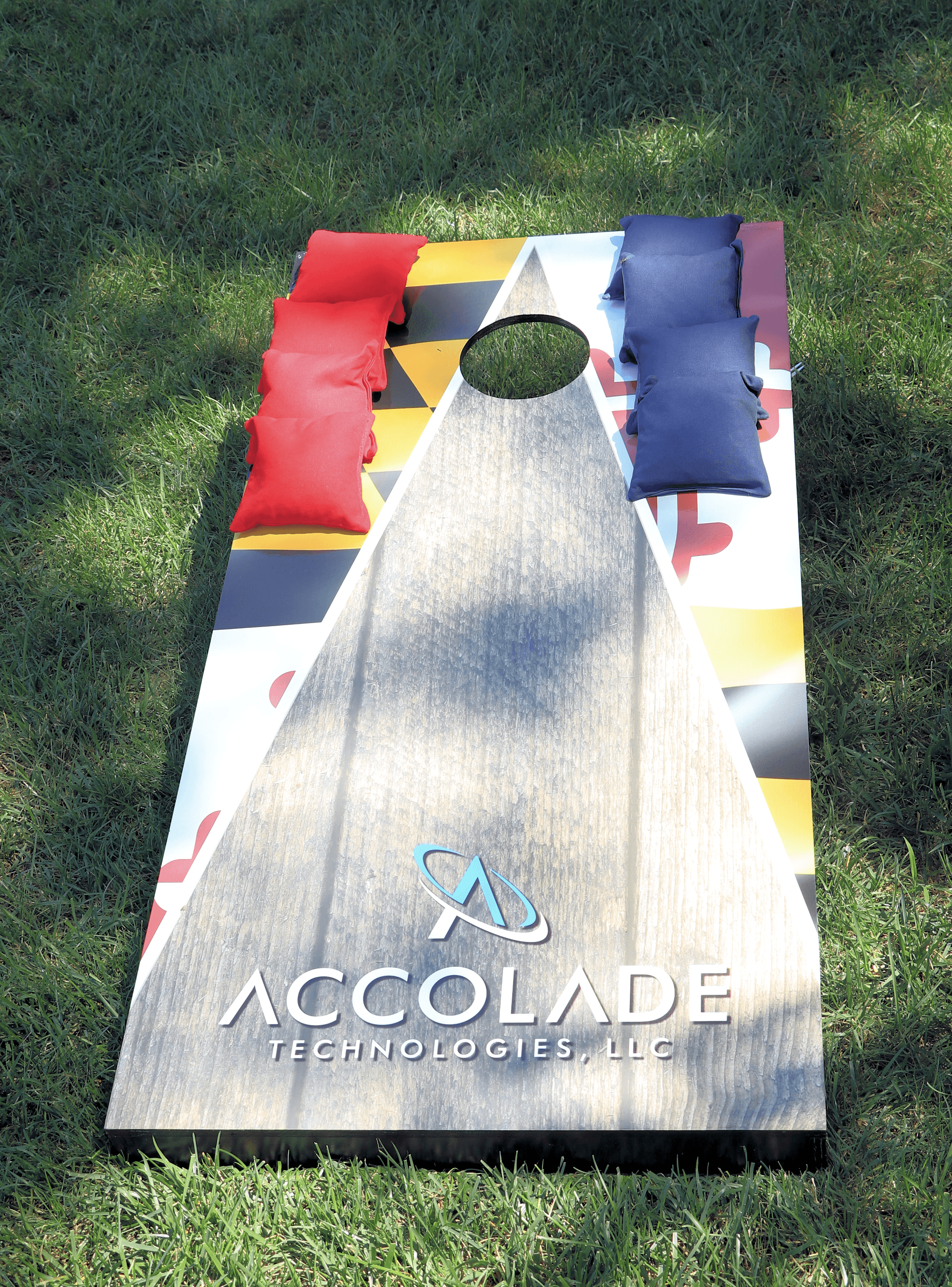 Summer Picnic image 12