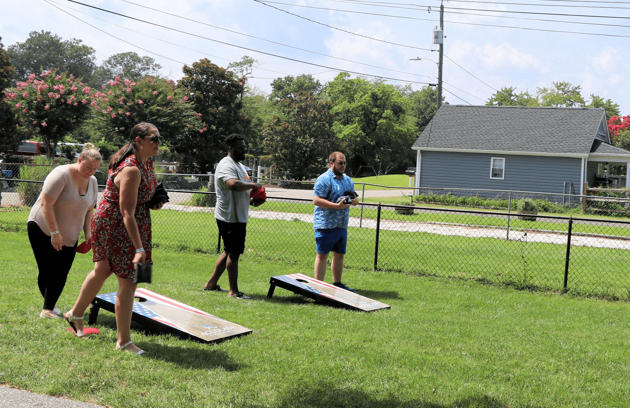 Summer Picnic image 4