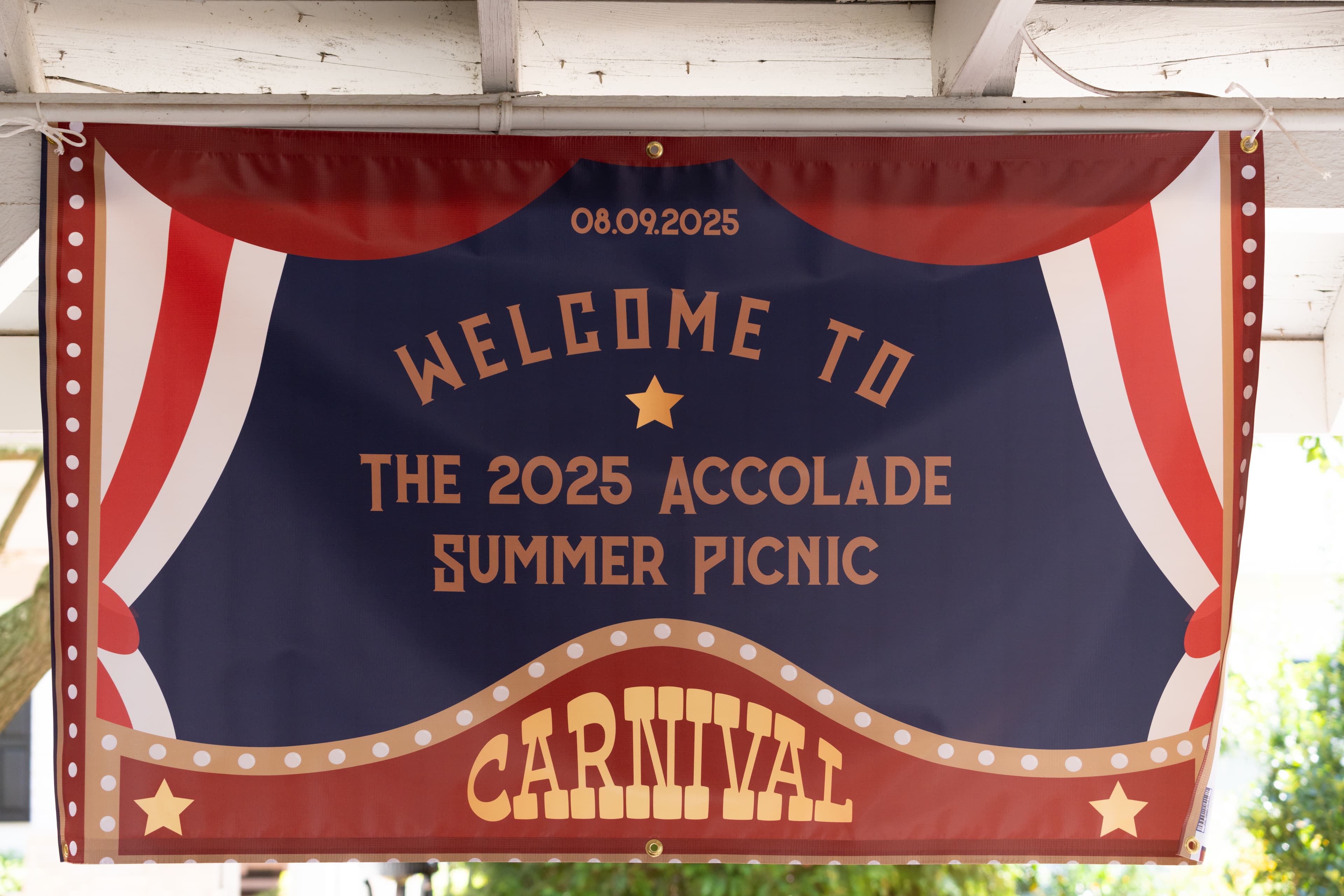 Summer Picnic '25 image 3